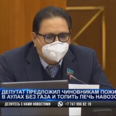 Депутат предложил чиновникам пожить в аулах, где нет газа, и топить печи навозом