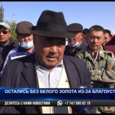 Остались без белого золота из-за благоустройства?
