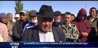 Остались без белого золота из-за благоустройства?