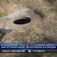 Полиция пока не установила личность женщины, чьи останки обнаружили в мкр Север