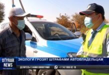 Чем отравляют воздух автомобили, колесящие по дорогам Шымкента