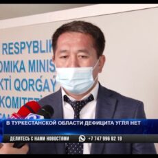В Туркестанской области дефицита угля нет
