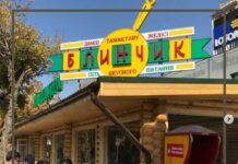 В Шымкенте снова подняли вопрос застройки Красной линии Красная линия