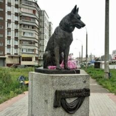 Преданней собаки – нету существа!