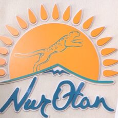Продолжается голосование на праймериз партии «Nur Otan»