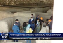 Географическое общество изучает потенциал Туркестанского оазиса