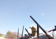 В частном секторе Шымкента опять горело сено