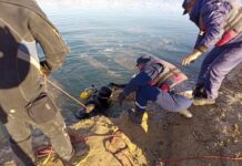 Спасатели из Шымкента нашли тело мужчины, утонувшего в водохранилище Коксарай водолазы