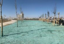 Акимат Туркестана ответил на видео, распространенное в сети