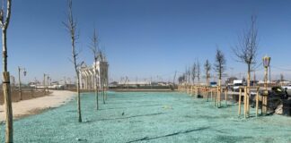 Акимат Туркестана ответил на видео, распространенное в сети