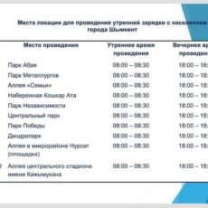 Шымкентцы могут делать утреннюю и вечернюю гимнастику в парках города гимнастика