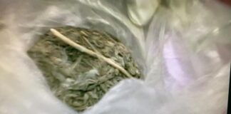 В Туркестанской области с помощью служебной собаки задержали узбекистанца с марихуаной марихуана