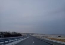 Колл-центр 1403 обработал более 164 тысяч обращений