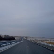 Колл-центр 1403 обработал более 164 тысяч обращений