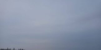 Колл-центр 1403 обработал более 164 тысяч обращений