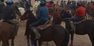 В Байдибекском районе остановили проведение кокпара кокпар