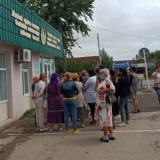 В Туркестанской области задержаны 12 подозреваемых в организации финансовой пирамиды финансовая пирамида