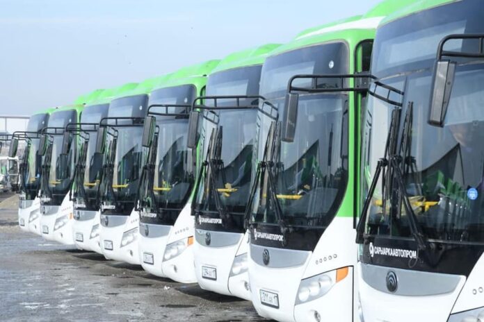 новые автобусы