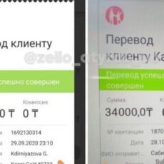 Мошенники подделывают электронные банковские чеки