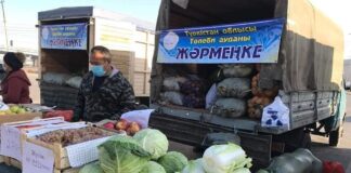 В Туркестане прошла ярмарка сельхозпродукции ярмарка