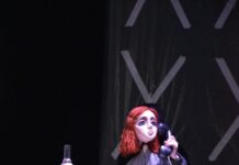 В детском кукольном театре теперь есть постановка для взрослых спектакль для взрослых "Можно попросить Нину?"