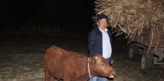 Участковые задержали скотокрадов в Туркестанской области