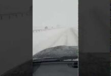 Трасса Тараз-Шымкент закрыта из-за непогоды