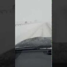 Трасса Тараз-Шымкент закрыта из-за непогоды