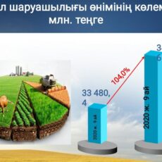 В Тюлькубасский район привлекли 7 млрд инвестиций инвестиции