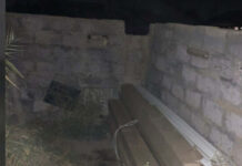 Житель Мактааральского района украл со стройки плинтусы