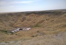 Кто-то когда-то сказал «МЯВ»