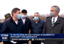 В дендропарке имени Асанбая Аскарова посадили чинары