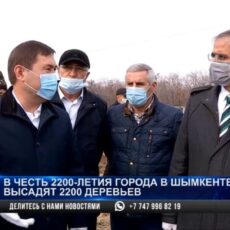 В дендропарке имени Асанбая Аскарова посадили чинары