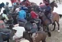 В Туркестанской области привлекли к ответственности организаторов очередного кокпара кокпар