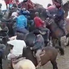 В Туркестанской области привлекли к ответственности организаторов очередного кокпара кокпар