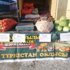 В Туркестане проходит ярмарка сельхозпродукции ярмарка, Туркестан