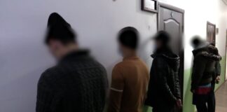 В Туркестанской области преступная группа совершила 9 краж скота