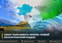 Сенат Парламента принял новый Экологический кодекс экология