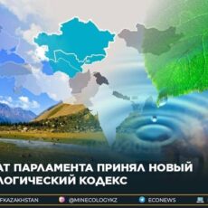Сенат Парламента принял новый Экологический кодекс экология