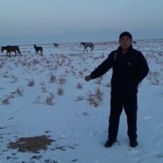 В Туркестанской области полицейские за сутки нашли 6 пропавших лошадей табун