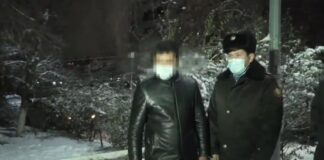 Подозреваемого в нападении и попытке изнасилования пенсионерки задержали арест