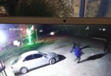 В мужчину стреляли в Туркестанской области видео