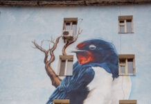 Уют, ласточки и «Repas» Рисунки на фасадах домов