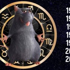 Двенадцатый месяц странно-непонятного високосного года 2020 високосный год Мыши Крысы