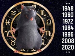 2020 високосный год Мыши Крысы