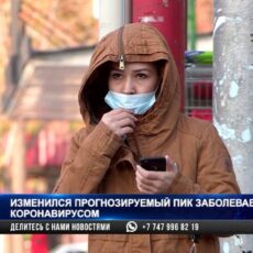Пик заболеваемости перенесли: Его ожидают в январе-феврале