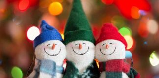 Год Огненной Лошади: готовимся к галопу перемен новый-год