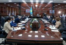 Показатели материнской и младенческой смертности в Шымкенте выросли