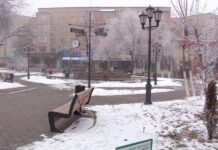 До 5 января на территории области и Шымкента сохранится туман и мороз