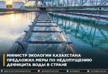 Площади под хлопком в Туркестанской области могут сократить